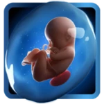 Logo of PregApp android Application 